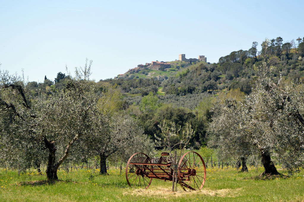Country House Il Ciliegio Roccatederighi Exterior photo